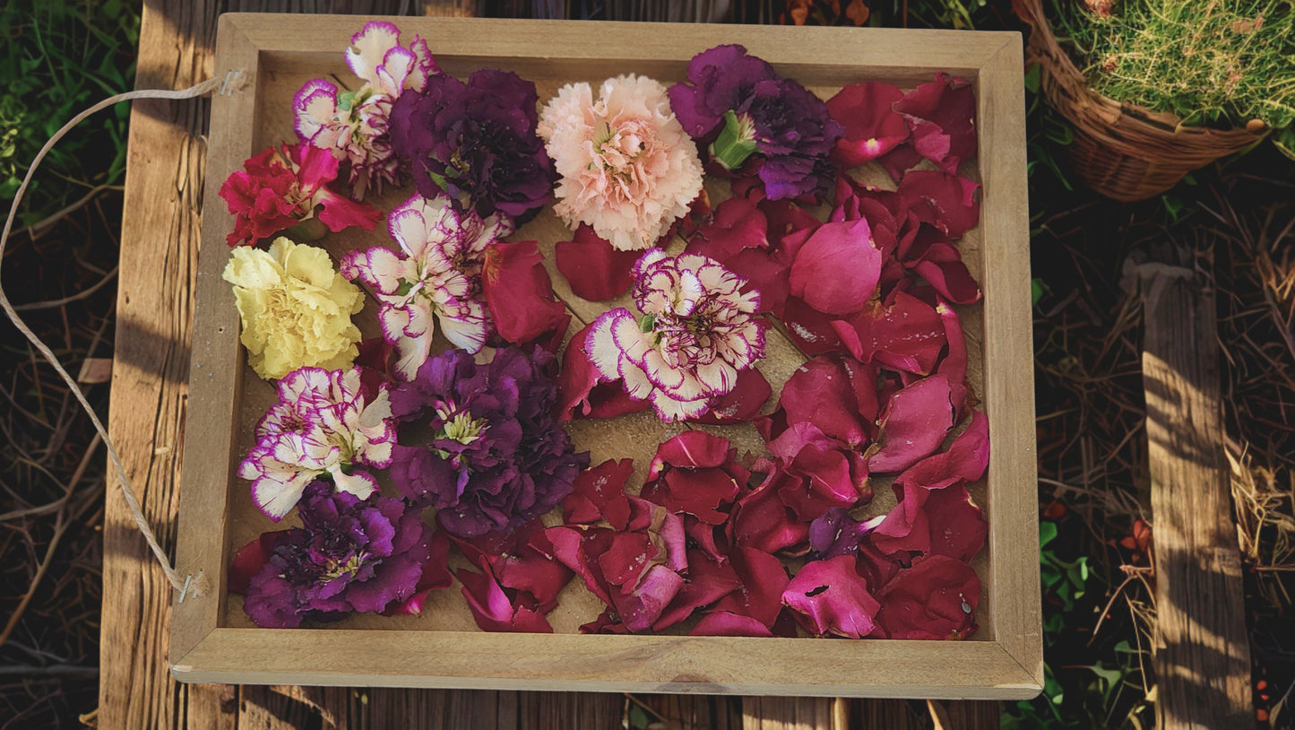 Eternal Love- Wedding Flower Preserved Initial Custom (A-Z)